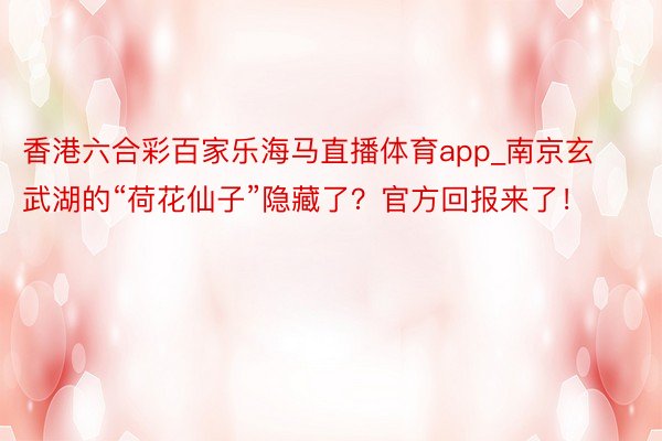 香港六合彩百家乐海马直播体育app_南京玄武湖的“荷花仙子”隐藏了？官方回报来了！