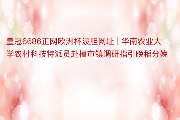 皇冠6686正网欧洲杯波胆网址 | 华南农业大学农村科技特派员赴樟市镇调研指引晚稻分娩