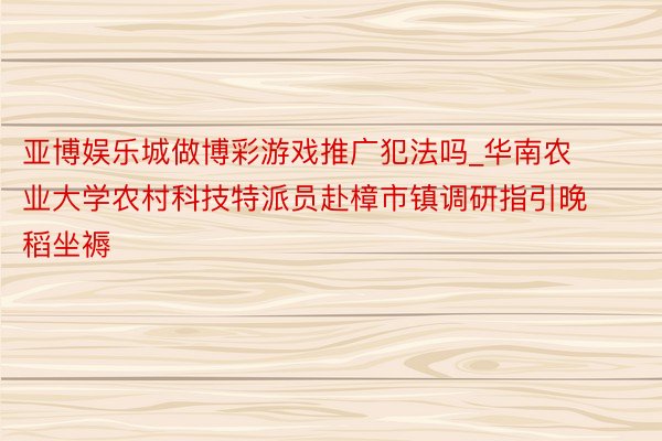 亚博娱乐城做博彩游戏推广犯法吗_华南农业大学农村科技特派员赴樟市镇调研指引晚稻坐褥