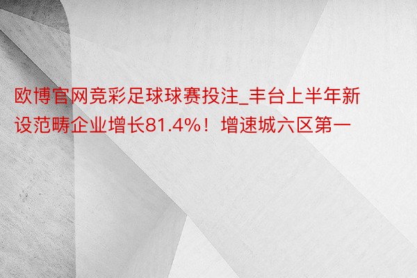 欧博官网竞彩足球球赛投注_丰台上半年新设范畴企业增长81.4%！增速城六区第一