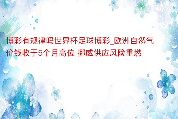 博彩有规律吗世界杯足球博彩_欧洲自然气价钱收于5个月高位 挪威供应风险重燃